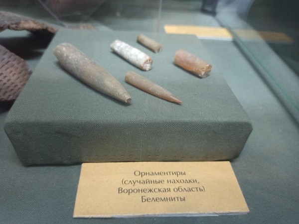 Беседа о предметах «Белемниты»