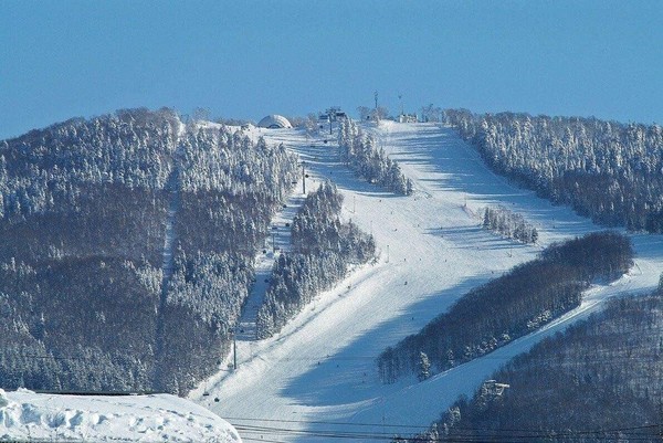 Программа «Под небом «Горного воздуха»
