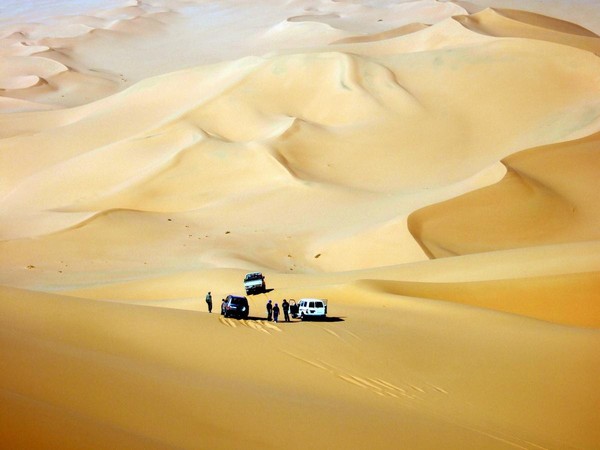 Экскурсия по выставке «Петроглифы и наскальная живопись пустыни Сахара»