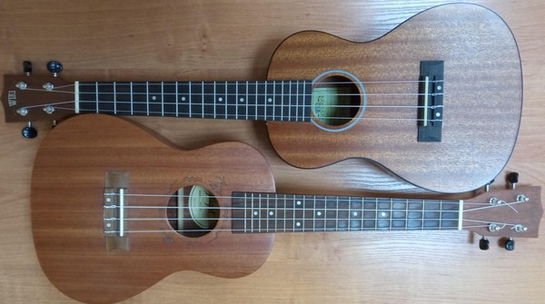 Знакомство с укулеле