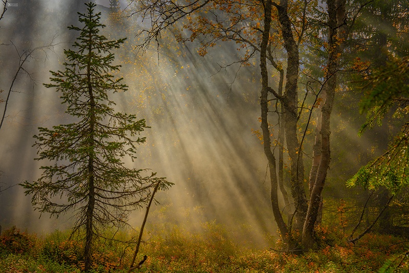 Открытый урок «Азы фотографии: свет»