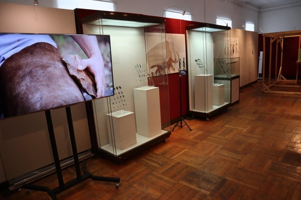 Выставка «Когда камень был железом»