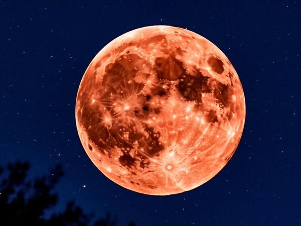 Лекция «Наша спутница Луна»