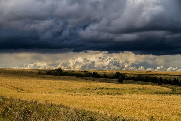 «Глубина кадра». Выставка по итогам Краевого конкурса художественной фотографии
