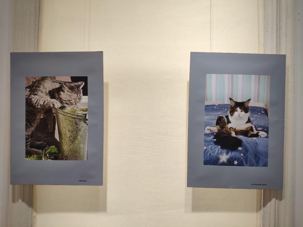 Выставка «Юный взгляд»