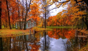 Выставка «Осенний пейзаж»