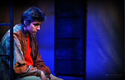 Над пропастью во ржи