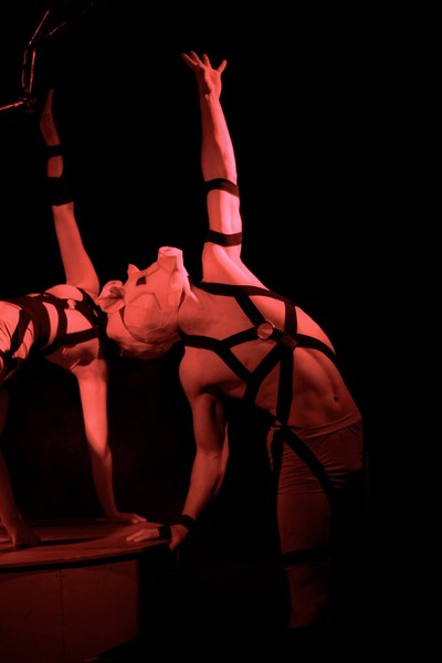 Максим Игнатов