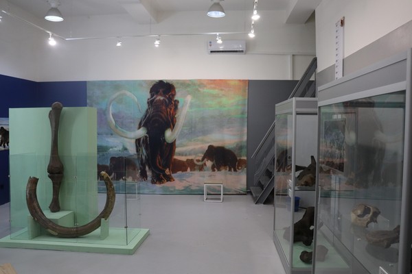 Выставка «Здесь был мамонт»