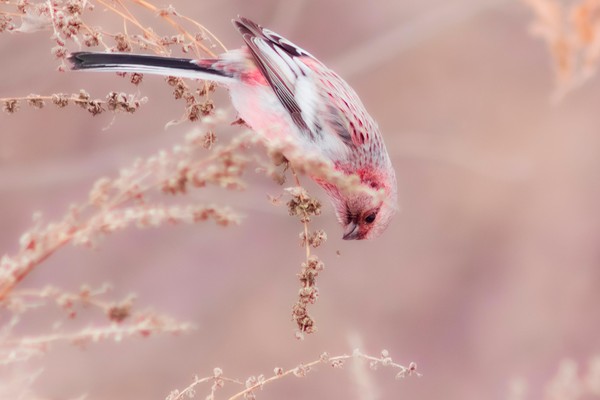 Кураторская экскурсия по выставке «Глубина кадра»