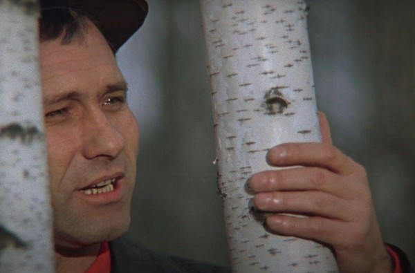 Тематическая программа «Поле смыслов в фильме В.М. Шукшина «Калина красная»