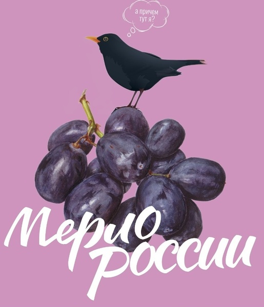 Такое разное Мерло. Дегустируем 10 российских Мерло.