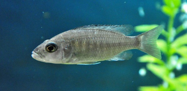 Беседа со специалистом