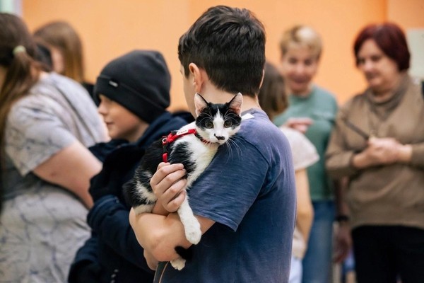 Помощь пушистикам зооцентра «Добрые сердца»