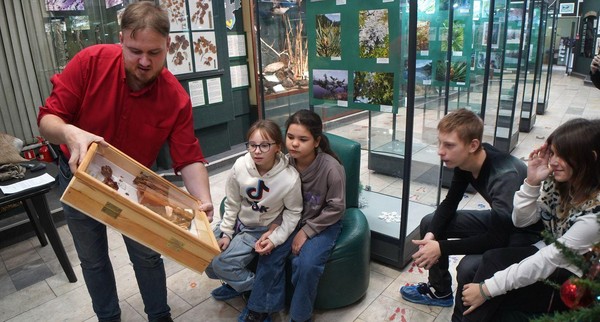 Семейная жизнь насекомых