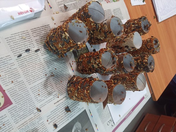 «Эко- кормушки для птиц и зверей»