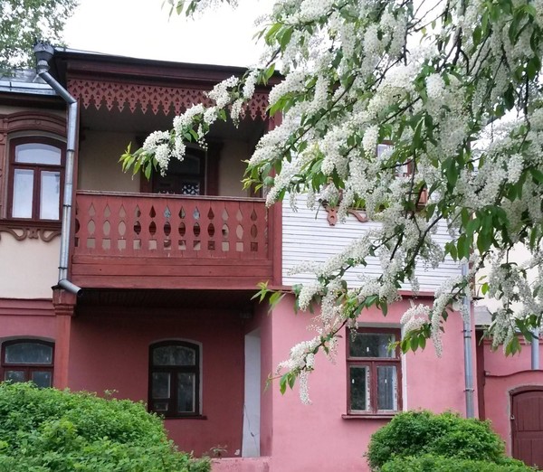 Тематическая беседа «Удивительный Дом-музей А. Л. Дурова» Часть 2