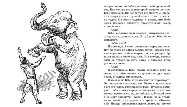 Тематическая беседа «Рассказ В.Л. Дурова «Слон Бэби»»