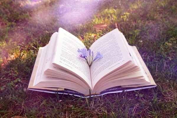 «Где добро – там тепло»