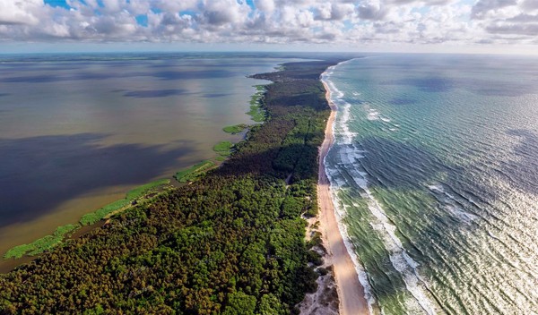 Аудиоспектакль-экспедиция по Куршской косе (из Калининграда)