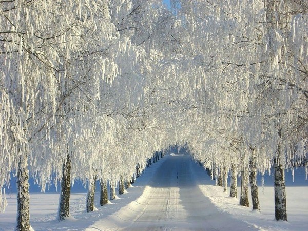 «Зимы цветное ожерелье»