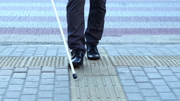 «Библиотека в твоём кармане»