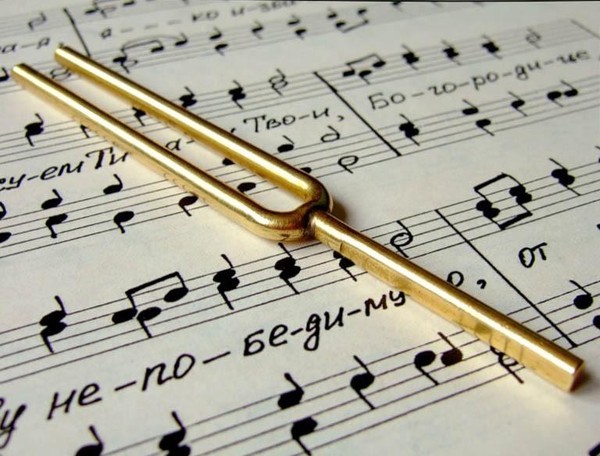 Внутришкольный конкурс «Камертон»