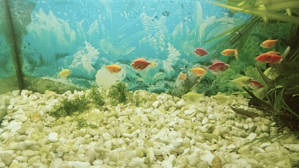 В кругу друзей