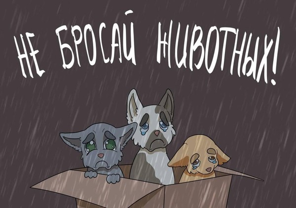 Разговоры о важном «Домашние питомцы»