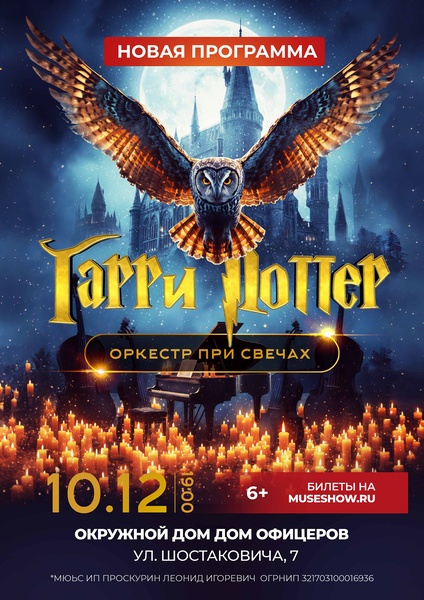 MUSE: Гарри Поттер г.Самара