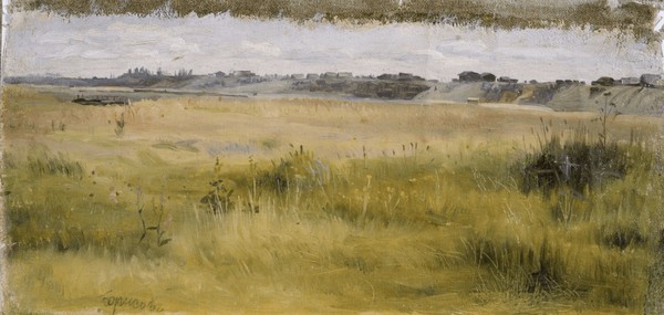 Лекция «Левобережье Красноборского района»