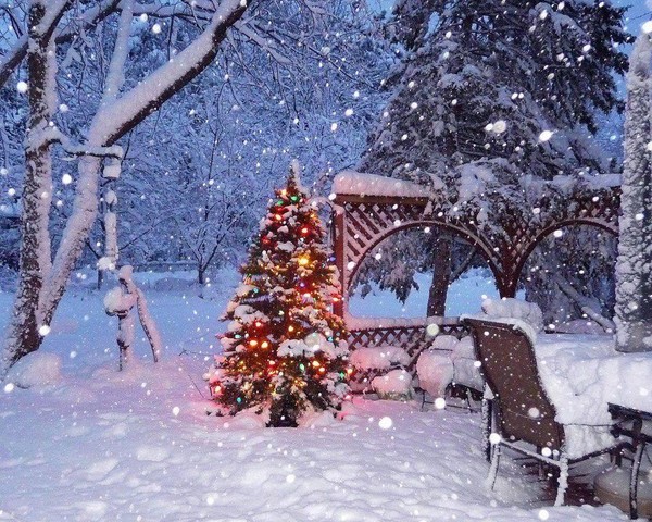 «Новогодние открытки»