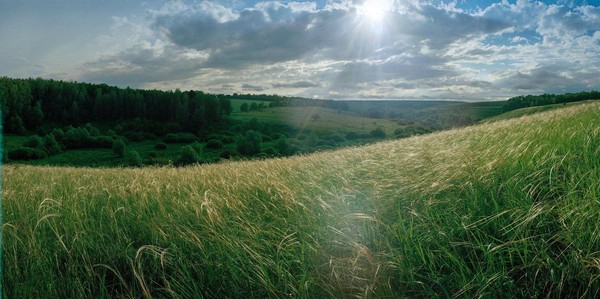 Лекция «Реликвии Куликовской битвы: исторические находки XVIII–XXI вв.»