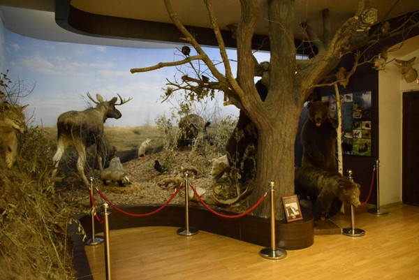 Экскурсия «Природа родного края»