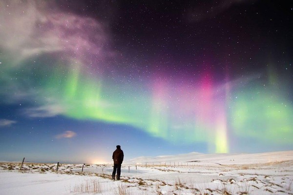 Игровая программа «Новый год в Арктике»