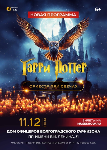 MUSE: Гарри Поттер г.Волгоград