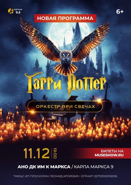 MUSE: Гарри Поттер г.Электросталь