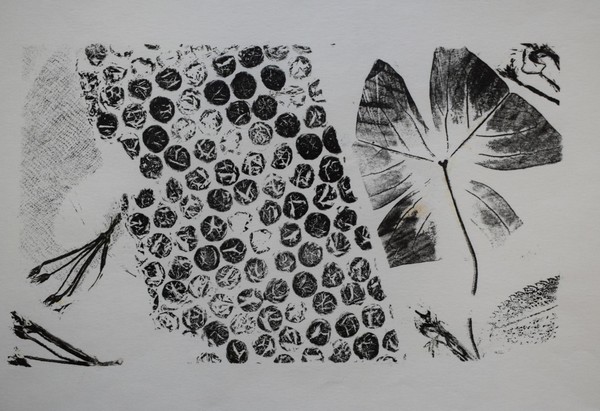 Профи-урок «Печатная графика»