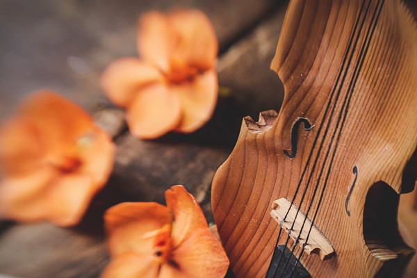 Программа «Очарование русской классики»