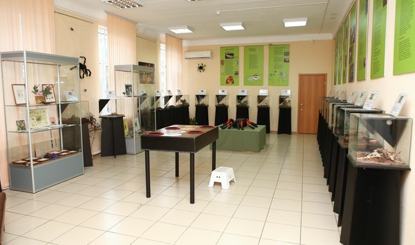 Выставка «Мир пауков и насекомых»