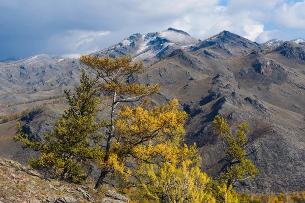 Культурный час «Россия- страна возможностей»