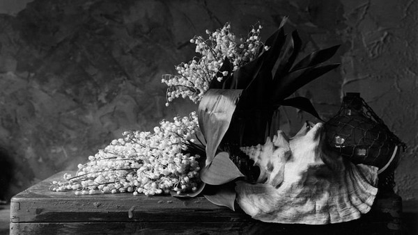 Выставка черно-белой фотографии Алексея Соболева «SILENTIUM»