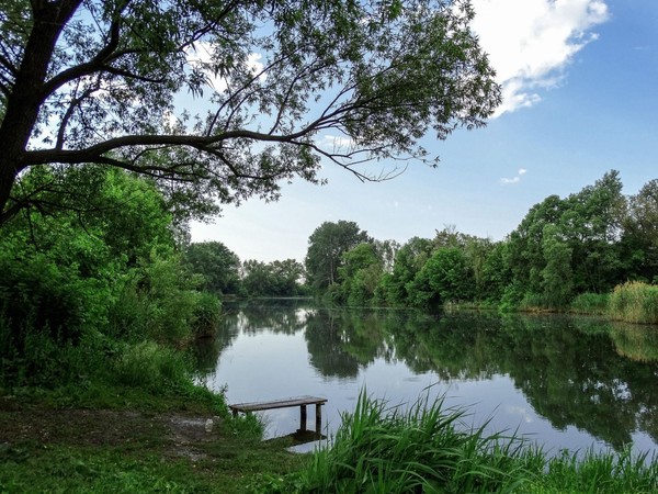 Экскурсия «Природа края»