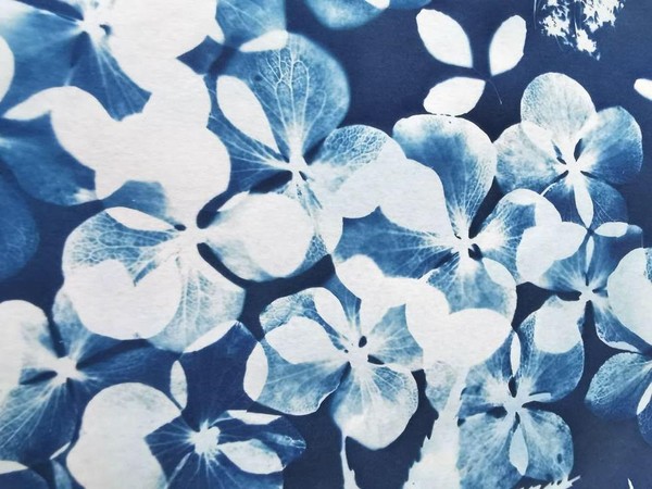 Мастер-класс «Печать солнцем»