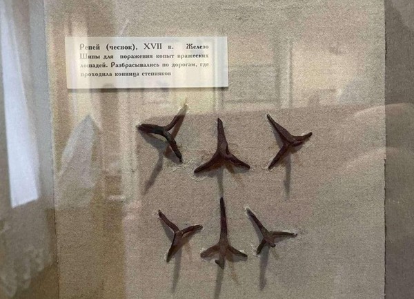 Тематическая беседа «Железные репьи»