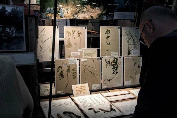 Открытие выставки «Засушенному верить»