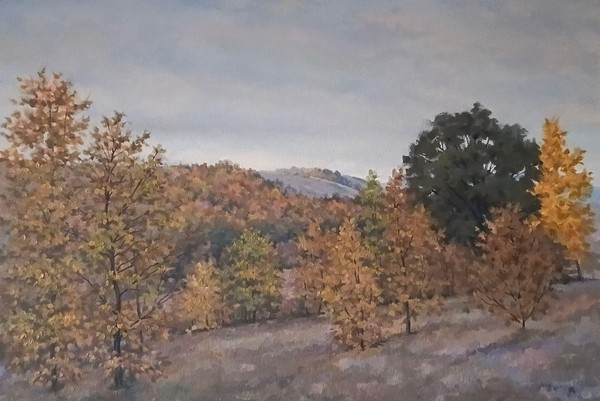 Выставка «Родные просторы»