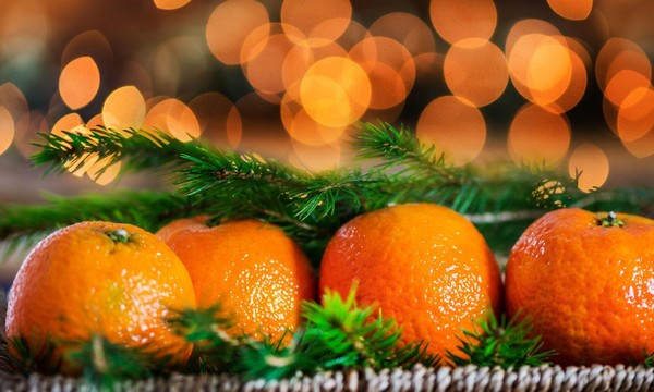 Концерт «Вкус мандарина»