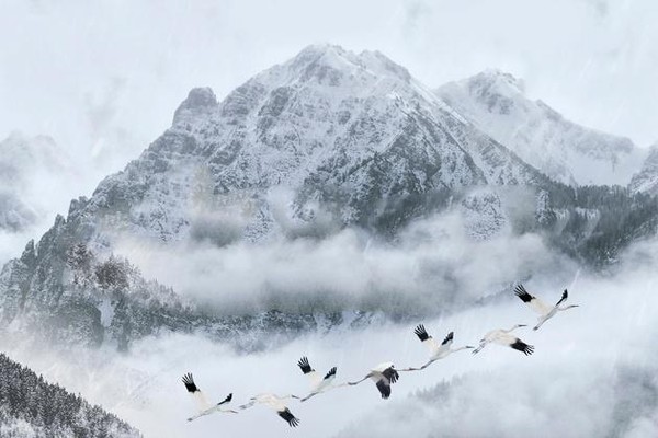 Спектакль «Девушка-гора»