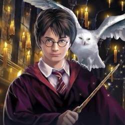 Neo Classic Orchestra. Вселенная Гарри Поттера